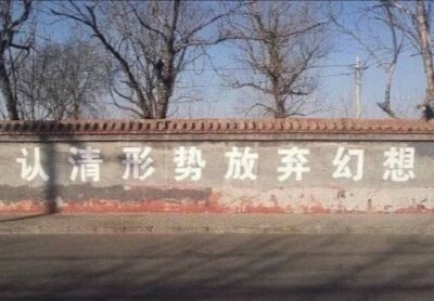 壁纸 杂图