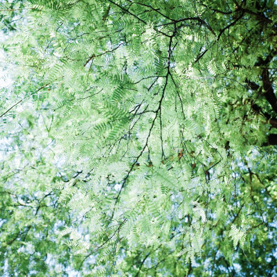 #早安日记# 摄影:@一工_ ​