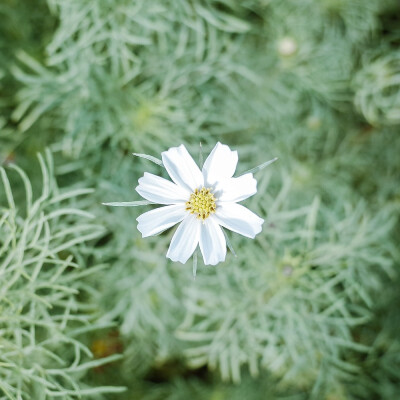 #早安日记# 摄影:@一工_ ​