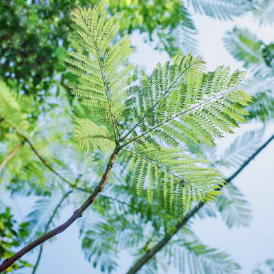 #早安日记# 摄影:@一工_ ​