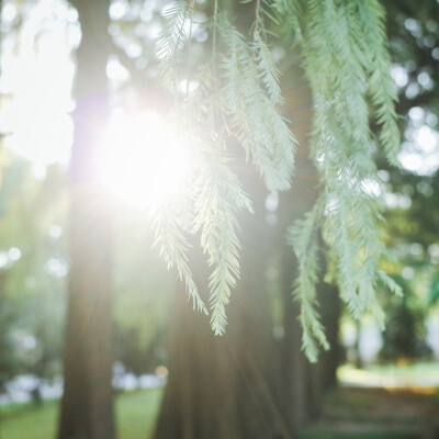 #早安日记# 摄影:@一工_ ​