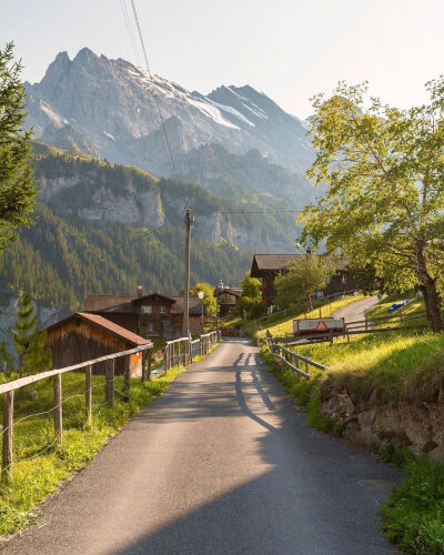 喜欢充满阳光的日子。ins：amir_asani13