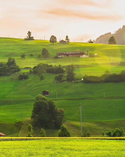 喜欢充满阳光的日子。ins：amir_asani13