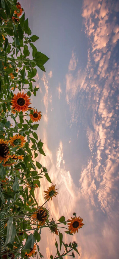 Stories have endings, imperfect as they are