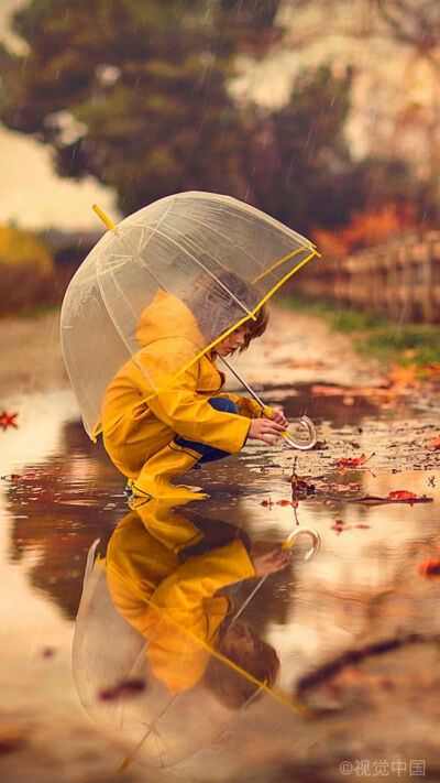 雨