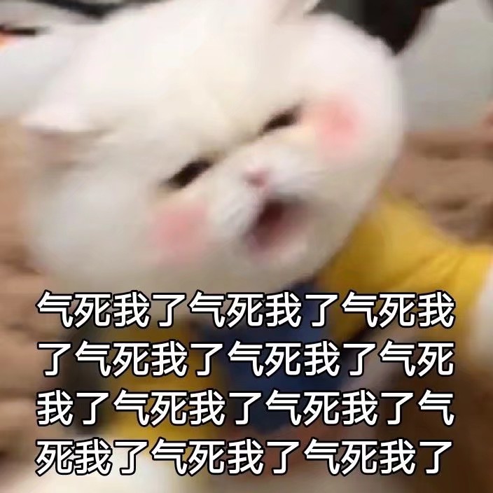 猫猫表情包