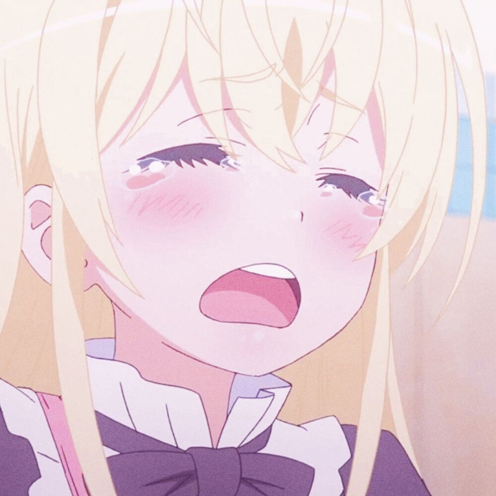 番剧科学超电磁炮s菲布理