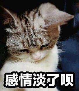 少爷和他的猫|ω・）