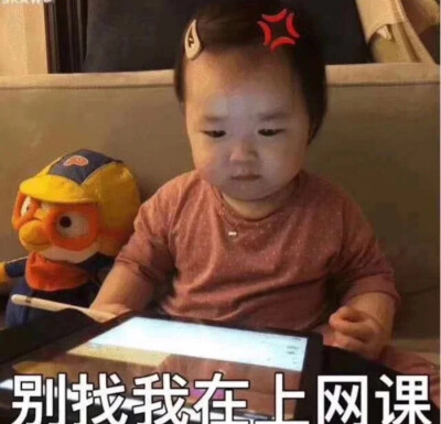 一起上网课呀！！