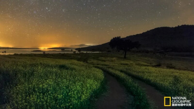 在葡萄牙的阿尔克瓦暗夜公园，星光和环境光交织在一起，共同点亮了湖边的草地。