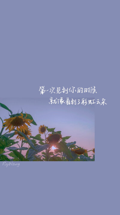 王源语录壁纸