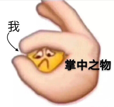 掌中之物