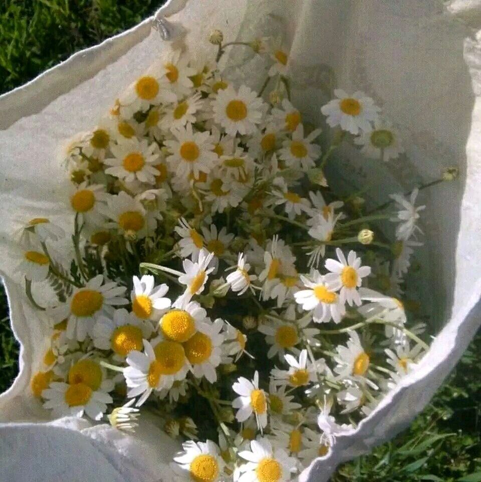 壁纸 封面 头像 风景