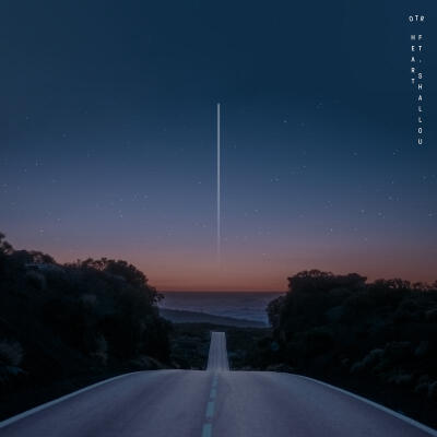 Heart—OTR/Shallou 网易云封面