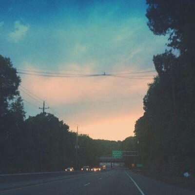 Moving—I eat Plants for a living 网易云封面