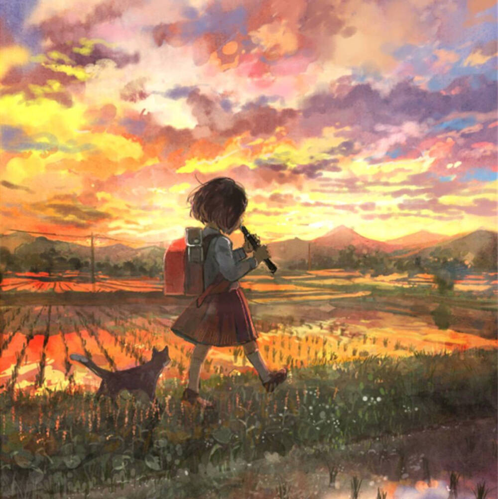 插画