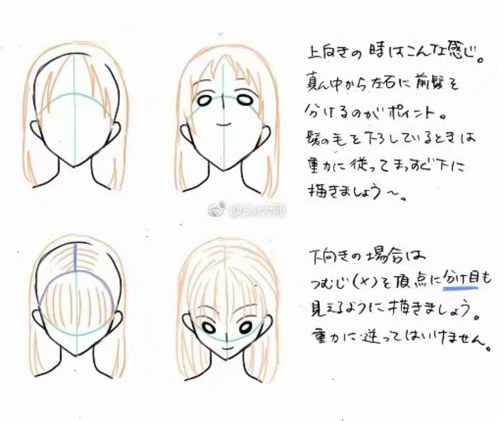 头部的绘制方法