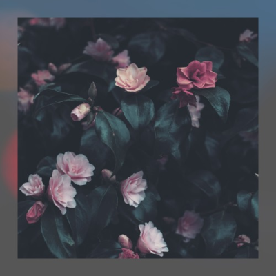 Think About You—Zaini/Essence/darkforestdrives 网易云封面