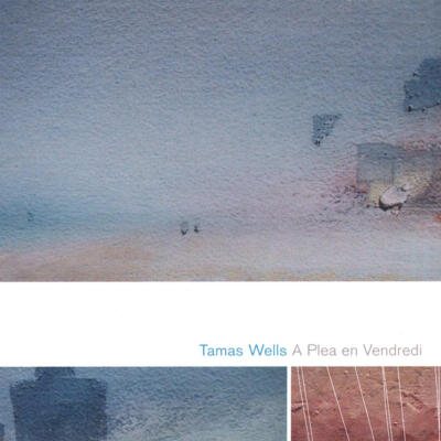 Valder Fields—Tamas Wells 网易云封面