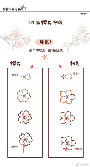 画几笔写几个字，就可以赏樱花，赏桃花
就能看见花花小姐姐了～

作者@罗罗布

#罗罗布简笔画#  ​