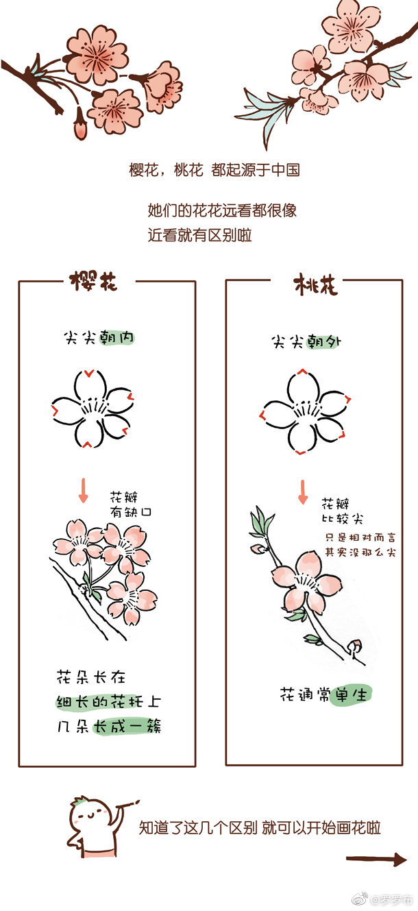 画几笔写几个字，就可以赏樱花，赏桃花
就能看见花花小姐姐了～
作者@罗罗布
#罗罗布简笔画# ​