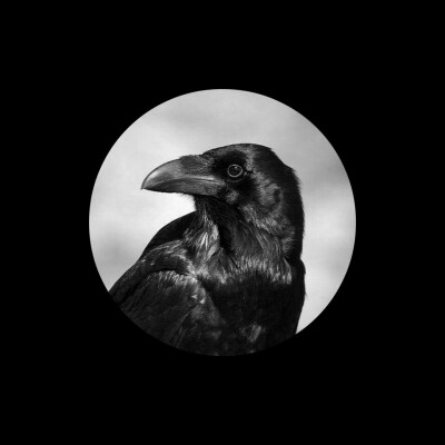 心如止水—Ice Paper 网易云封面