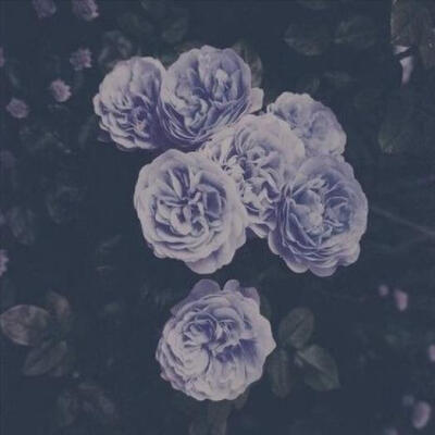 moved on—SoLonely/demxntia 网易云封面