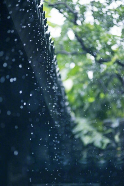 喜雨霏霏恋意柔，青山绿水路通幽。相依伞下鬓私语，半为遮雨半遮羞。