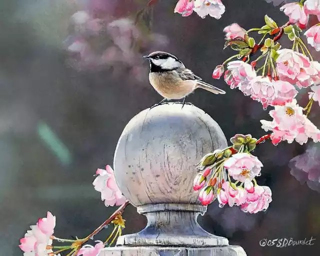 艺术家Susan Bordet的花鸟装饰画