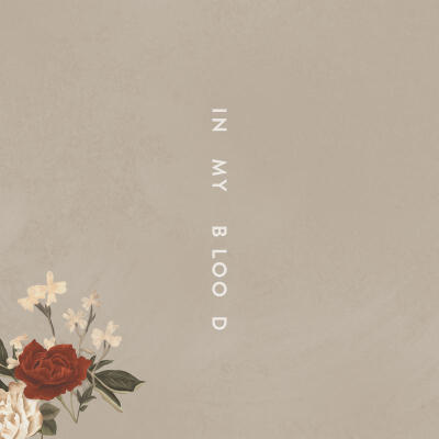 In My Blood–Shawn Mendes