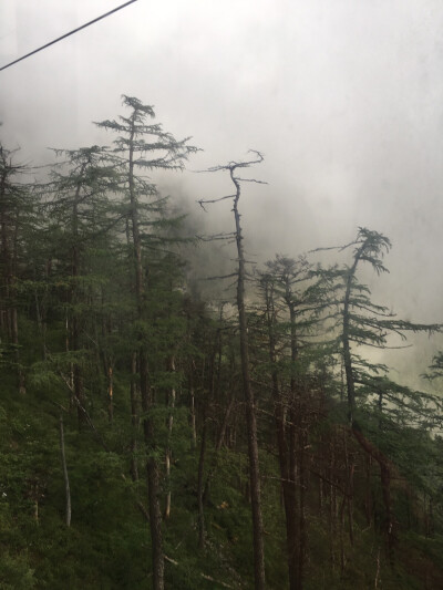 云南～玉龙雪山