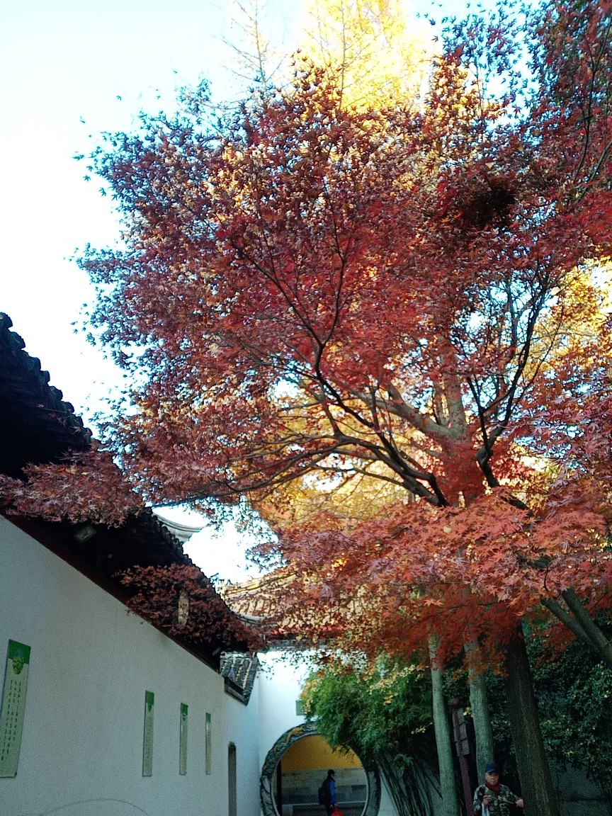 西园寺一日游