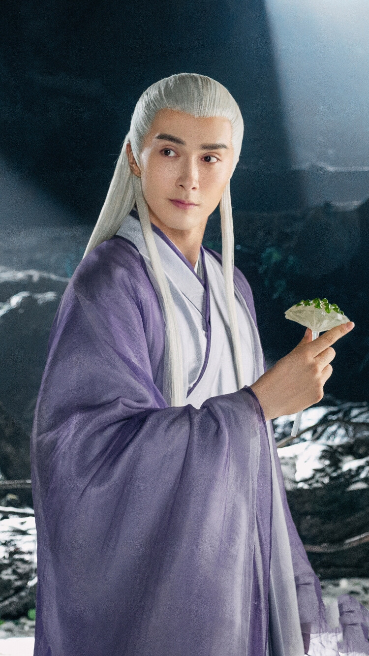 三生三世枕上书 东华 高伟光