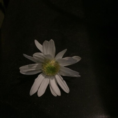 分享很喜欢的壁纸