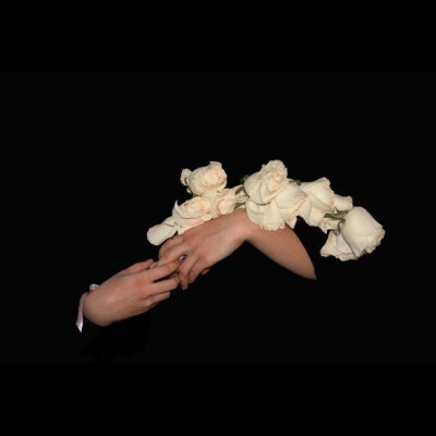 分享很喜欢的壁纸