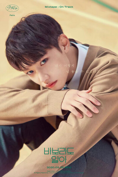 Stray kids 李龙福