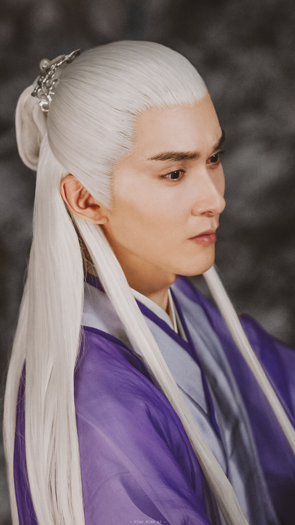 三生三世枕上书电视剧东华高伟光