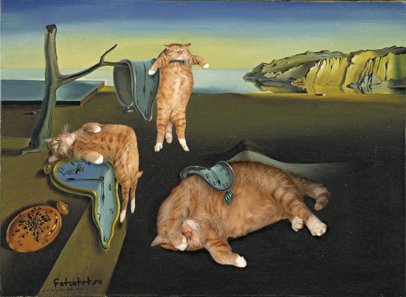 Salvador Dali, The Purrsistence of Cats' Meowmory