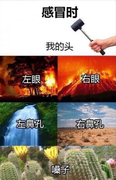 感冒表情包