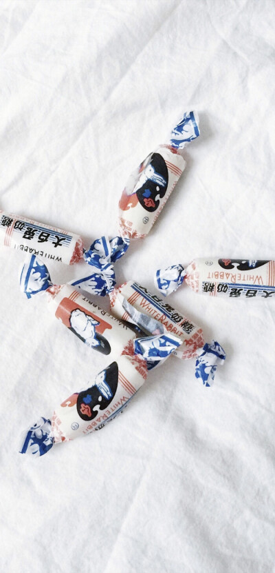 头像壁纸女孩 猫 狗