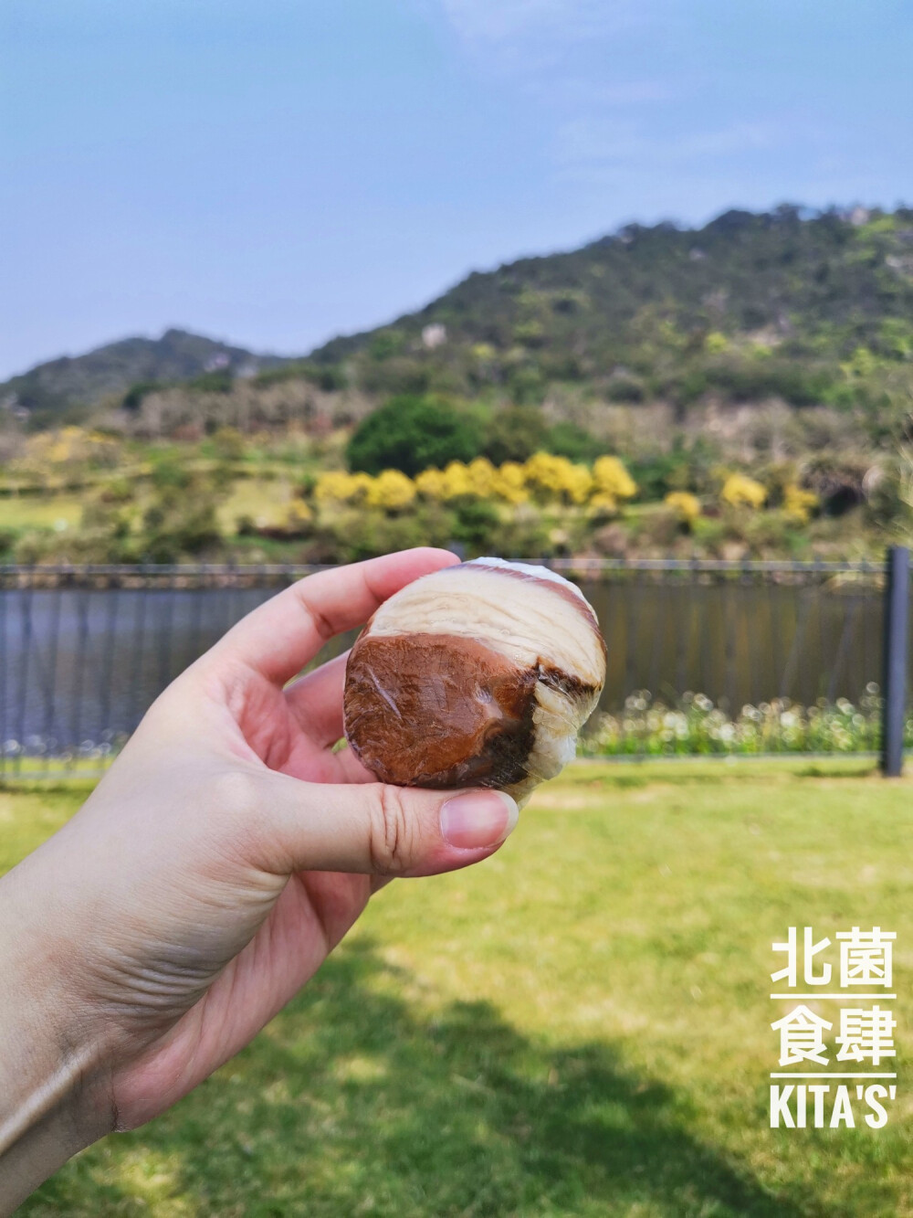 #今日试菜# 带上自己做的卤肉饭团、紫菜包饭和一大瓶大红袍奶茶，出来上李水库公园野餐晒太阳[嘿哈] 何以解忧，唯有好料[坏笑] 