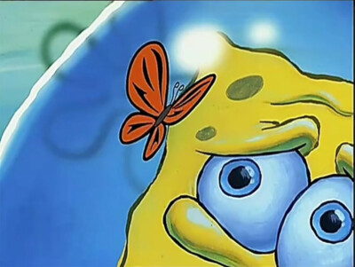 沙雕宝宝的搞怪特写(・◇・)