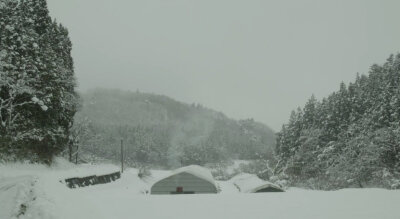 春宜花，夏宜风，秋宜月，冬宜雪。四时佳兴，可与人同?！粼鳌度思渲丁? data-iid=