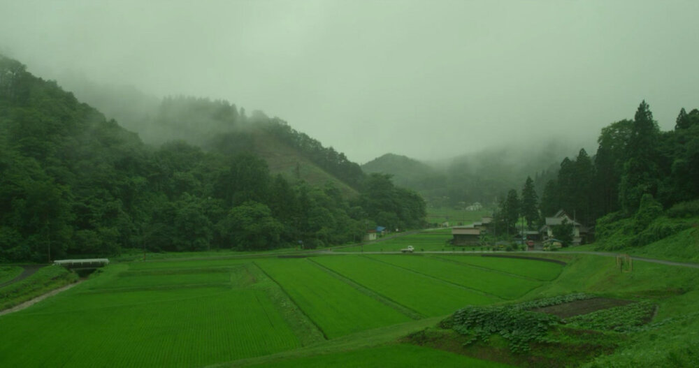 春宜花，夏宜风，秋宜月，冬宜雪。四时佳兴，可与人同。——汪曾祺《人间之味》