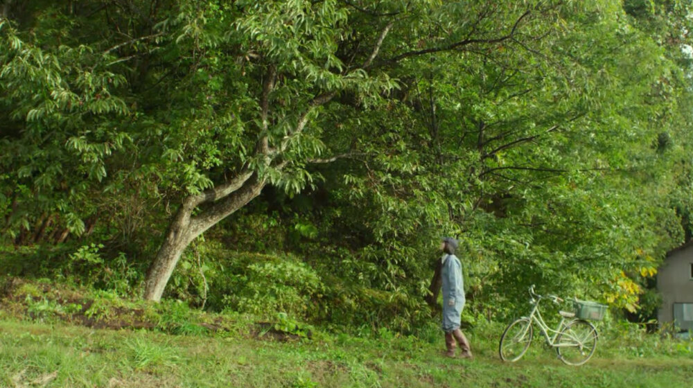 一定要爱着点什么，恰似草木对光阴的真情。——汪曾祺