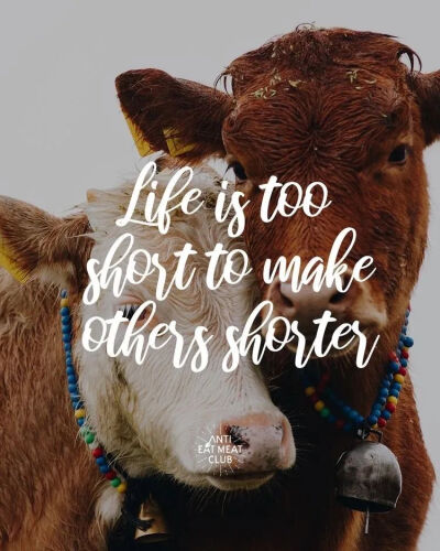 
生命的稍逝
對他們都彌足珍貴。
Life is too short
to make others shorter.
