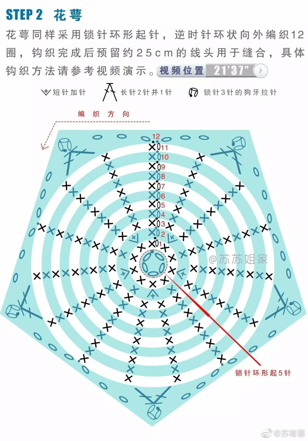 钩针康乃馨