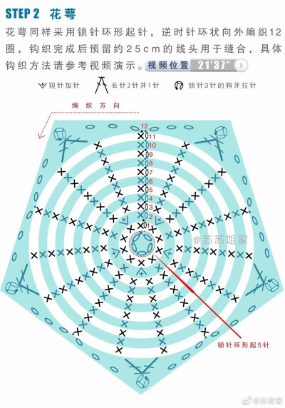 钩针康乃馨