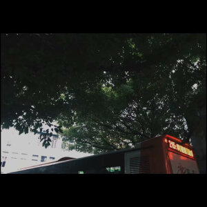 岁月斑驳，时光静好。