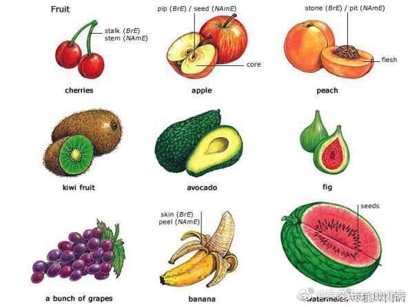 【水果英语词汇】apricot杏 blackberry黑莓 cherry樱桃 chestnut栗子 walnut核桃 coconut椰子 fig无花果 filbert榛 litchi荔枝 hawthorn山楂 lemon柠檬 mandarin柑桔 mango芒果 olive橄榄 papaya木瓜 peach桃pear梨 pineapple菠萝 pomegranate石榴 strawberry草莓 watermelon西瓜 ras